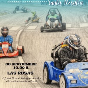 Cartel IX BAJADA DE CARROS (SANTA ROSALÍA)